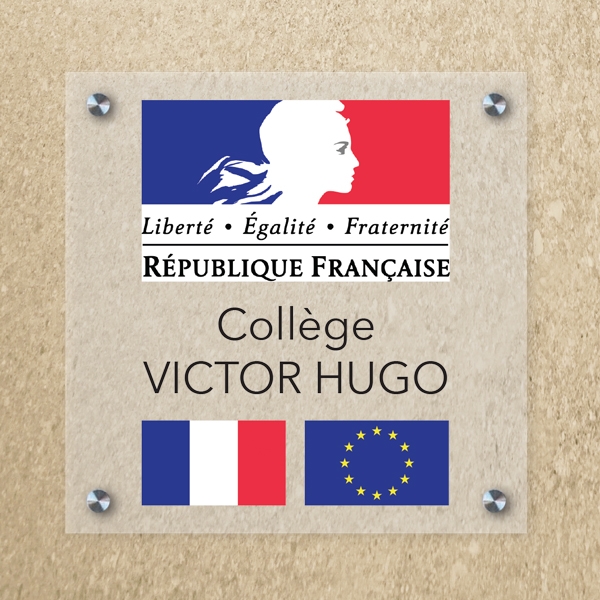 Plaque plexiglas transparent avec entretoises 30x20cm