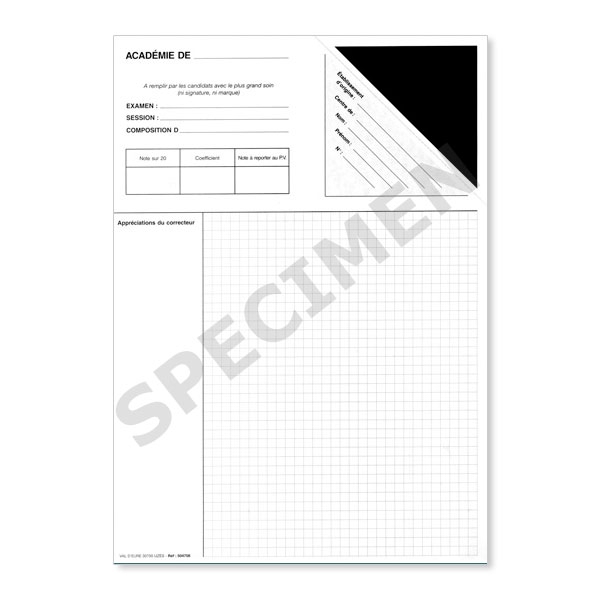 Copies doubles d'examen quadrillées 5x5 (paquet de 250) - copie double  d'examen quadrillé quadrillée 5x5 petit carreau carreaux avec coin cache  nom gommé pour examen anonyme anonymable brevet concours exam papier blanc