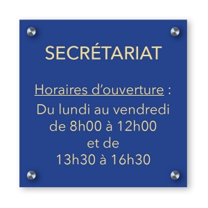 Plaque plexiglas transparent avec entretoises 30x20cm