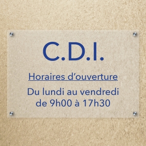 Plaque plexiglas transparent avec entretoises 30x20cm